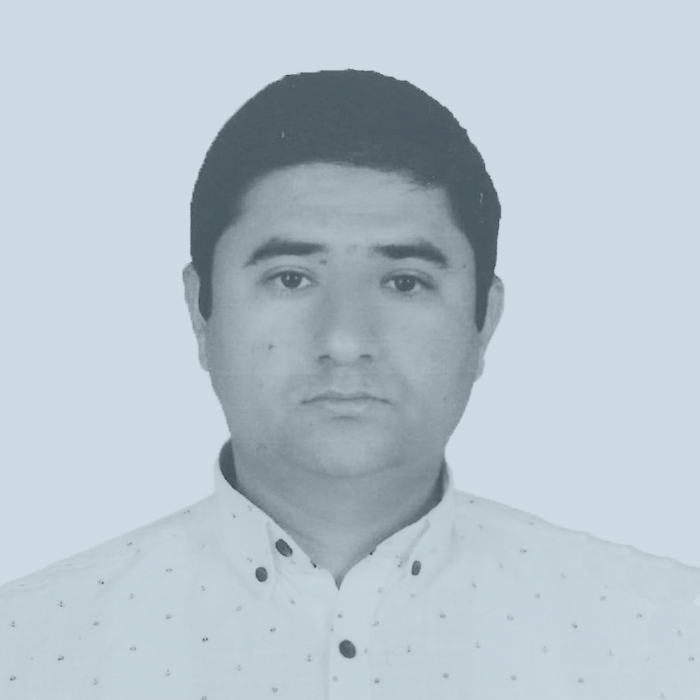 Abdul Nasır Hakimi, PhD